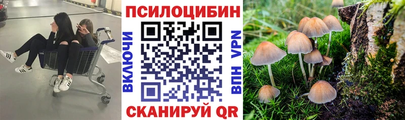 Галлюциногенные грибы Cubensis  Безенчук 